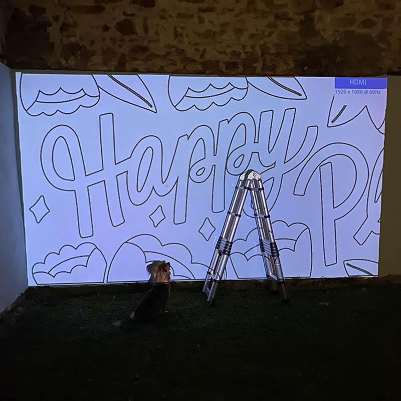 projecting mural onto garden wall at night